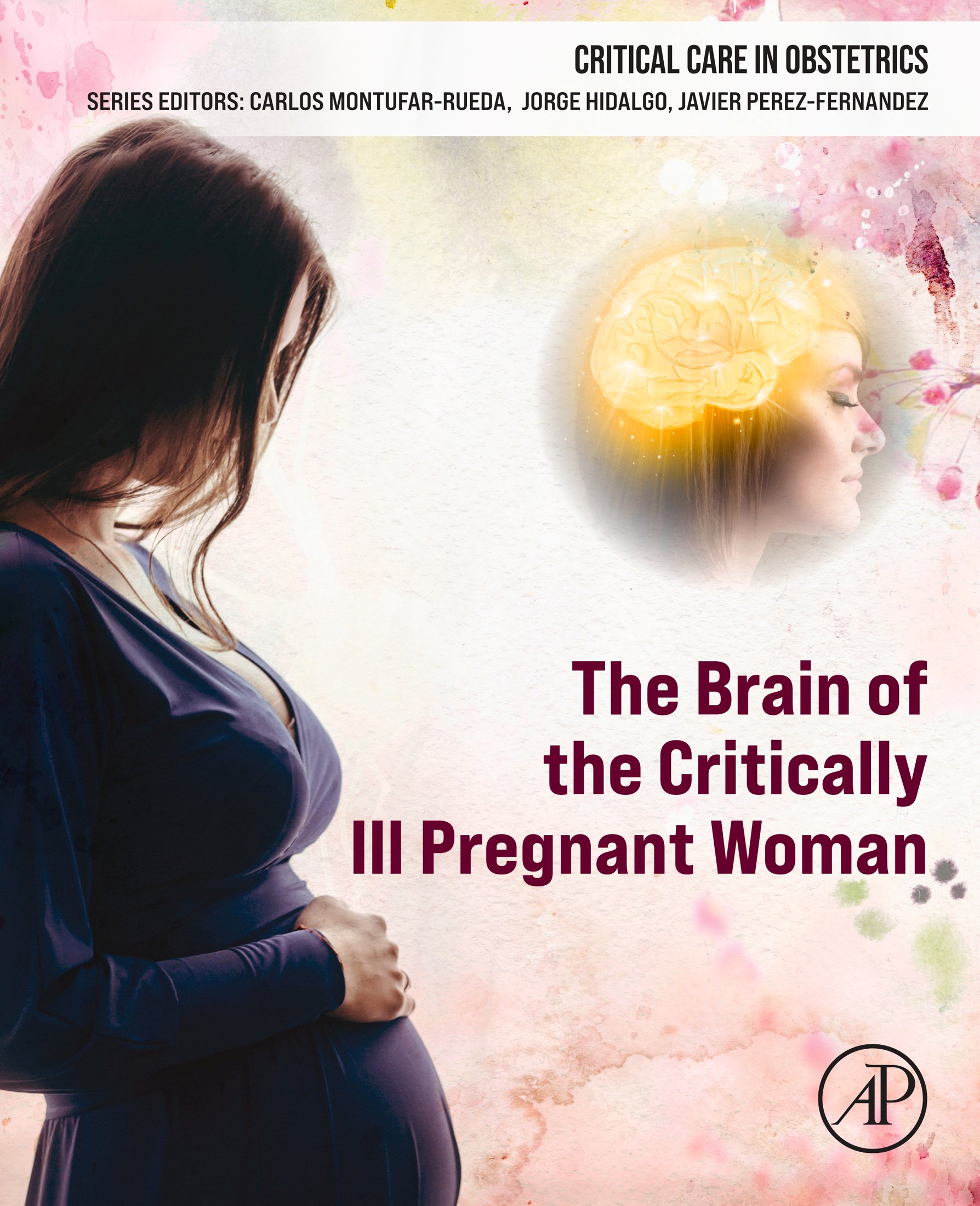 The Brain of the Critically Ill Pregnant Woman (EPUB)