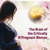 The Brain of the Critically Ill Pregnant Woman (Original PDF from Publisher)