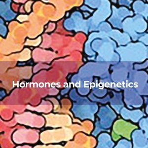Hormones and Epigenetics, Volume 122 (Original PDF from Publisher)