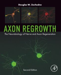 Axon Regrowth: The Neurobiology of Nerve and Axon Regeneration (Original PDF from Publisher)