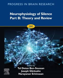 Neurophysiology of Silence Part B: Theory and Review (Progress in Brain Research, Volume 280) (Original PDF from Publisher)