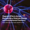 Magnetic Effects Across Biochemistry, Molecular Biology and Environmental Chemistry: Genes, Brain and Cancer under Magnetic Control (EPUB)
