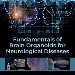 Fundamentals of Brain Organoids for Neurological Diseases (Original PDF from Publisher)