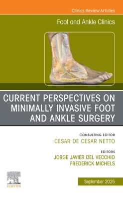 Current Perspectives on Minimally Invasive Foot and Ankle Surgery, An issue of Foot and Ankle Clinics of North America (EPUB)