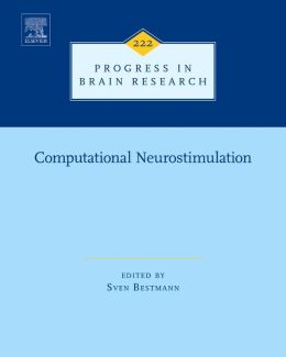 Computational Neurostimulation