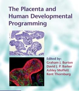 The Placenta and Human Developmental Programming