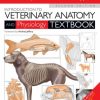 Introduction to Veterinary Anatomy and Physiology Textbook, 2nd Edition (Original PDF from Publisher)