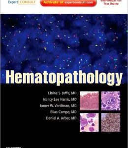 Hematopathology: Expert Consult (ORIGINAL PDF from Publisher)