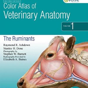 Color Atlas of Veterinary Anatomy, 2nd Edition, Volume 1, The Ruminants (Original PDF from Publisher)