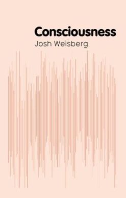 Consciousness (Josh Weisberg)