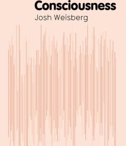 Consciousness (Josh Weisberg)