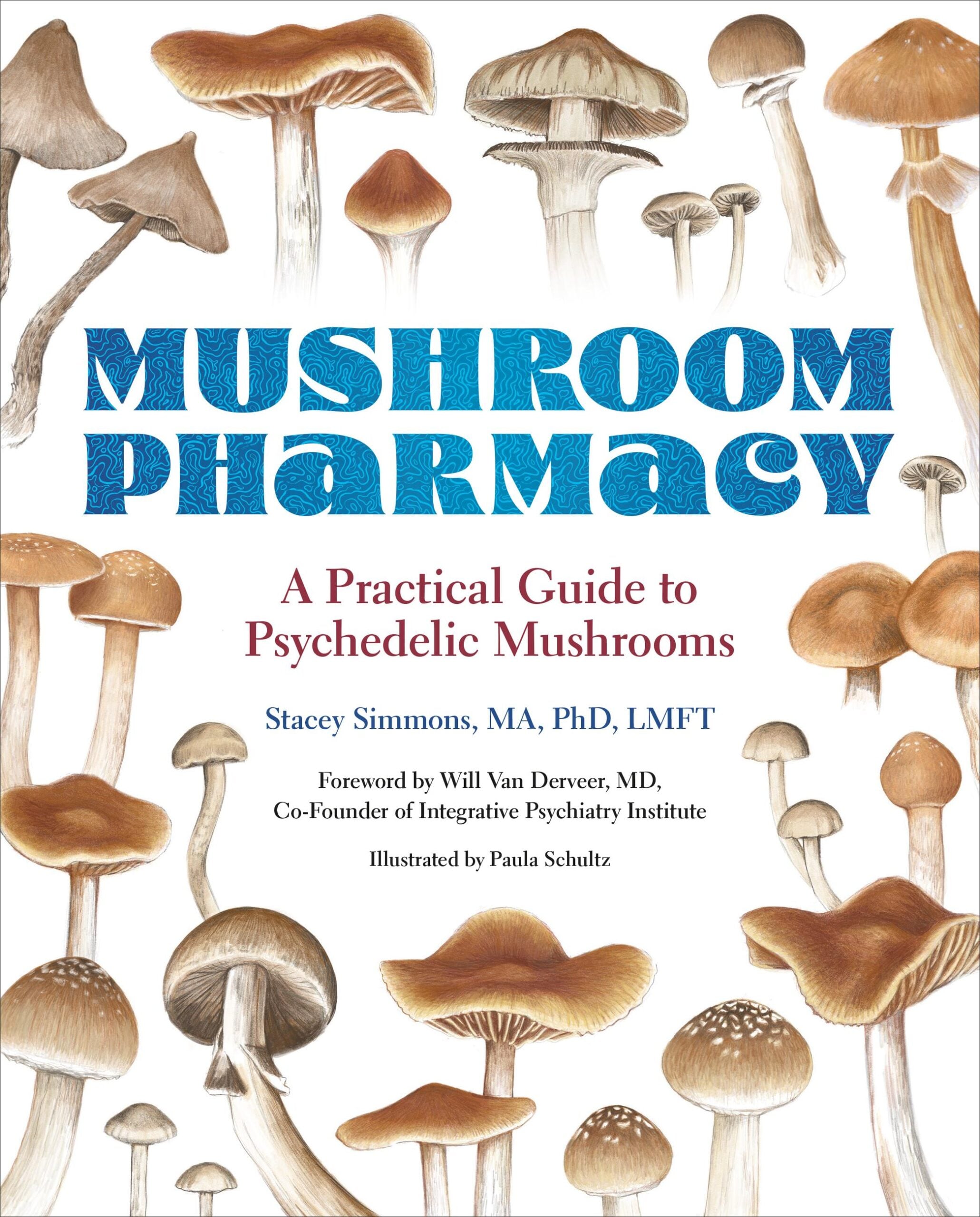 Mushroom Pharmacy: A Practical Guide to Psychedelic Mushrooms (EPUB)
