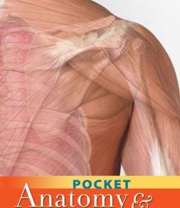 Pocket Anatomy and Physiology, 2nd Edition