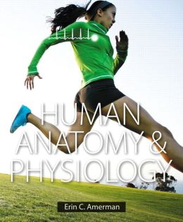 Human Anatomy & Physiology (Erin C. Amerman)