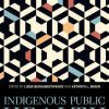 Indigenous Public Health: Improvement through Community-Engaged Interventions (Understanding and Improving Health for Minority and Disadvantaged Populations) (Original PDF from Publisher)