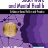 Social Work and Mental Health: Evidence-Based Policy and Practice (Original PDF from Publisher)