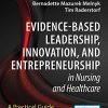 Evidence-Based Leadership, Innovation and Entrepreneurship in Nursing and Healthcare: A Practical Guide to Success (Original PDF from Publisher)