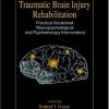 Traumatic Brain Injury Rehabilitation: Practical Vocational, Neuropsychological, and Psychotherapy Interventions (PDF)