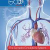 The Complex Circulatory System (God’s Wondrous Machine)
