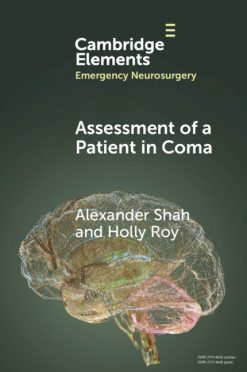 Assessment of a Patient in Coma (EPUB)