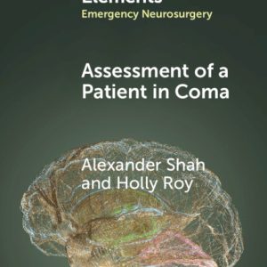 Assessment of a Patient in Coma (EPUB)