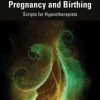 Hypnotherapy for Pregnancy and Birthing (Original PDF from Publisher)