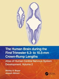 The Human Brain during the First Trimester 6.3- to 10.5-mm Crown-Rump Lengths: Atlas of Human Central Nervous System Development, Volume 2 (Atlas of Human Central Nervous System Development, 2) (Original PDF from Publisher)