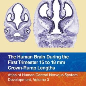 The Human Brain during the First Trimester 15- to 18-mm Crown-Rump Lengths: Atlas of Human Central Nervous System Development, Volume 3 (Atlas of Human Central Nervous System Development, 3) (Original PDF from Publisher)