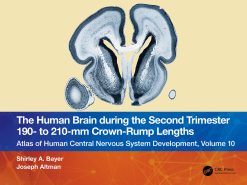 The Human Brain during the Second Trimester 190– to 210–mm Crown-Rump Lengths (EPUB)