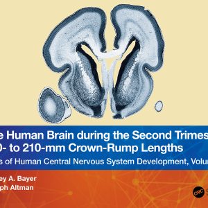 The Human Brain during the Second Trimester 190– to 210–mm Crown-Rump Lengths (EPUB)