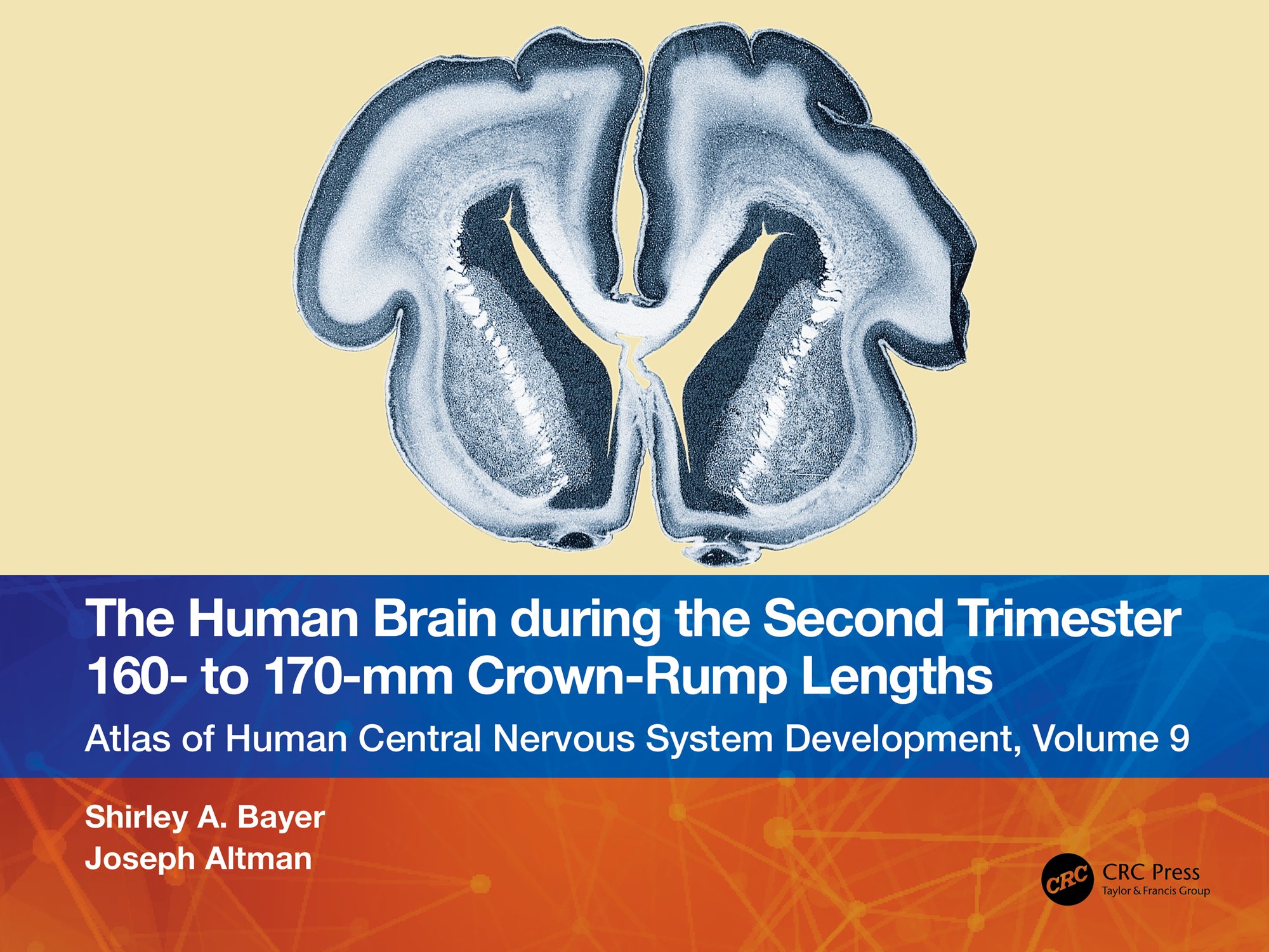 The Human Brain during the Second Trimester 160– to 170–mm Crown-Rump Lengths: Atlas of Human Central Nervous System Development, Volume 9 (Original PDF from Publisher)