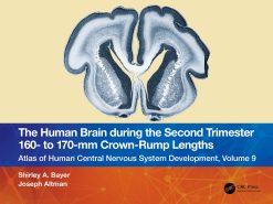 The Human Brain during the Second Trimester 160– to 170–mm Crown-Rump Lengths: Atlas of Human Central Nervous System Development, Volume 9 (EPUB)