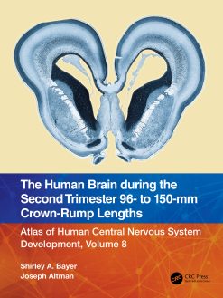 The Human Brain during the Second Trimester 96– to 150–mm Crown-Rump Lengths: Atlas of Human Central Nervous System Development, Volume 8 (EPUB)