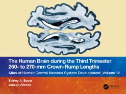 The Human Brain during the Third Trimester 260– to 270–mm Crown-Rump Lengths: Atlas of Central Nervous System Development, Volume 12 (EPUB)