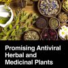 Promising Antiviral Herbal and Medicinal Plants (Original PDF from Publisher)