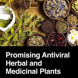 Promising Antiviral Herbal and Medicinal Plants (Original PDF from Publisher)