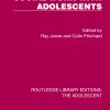 Social Work with Adolescents (Original PDF from Publisher)