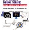 Diagnosis and Treatment of Cancer using Thermal Therapies (EPUB)
