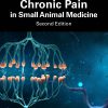 Chronic Pain in Small Animal Medicine, 2nd Edition (EPUB)