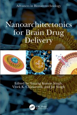 Nanoarchitectonics for Brain Drug Delivery (EPUB)