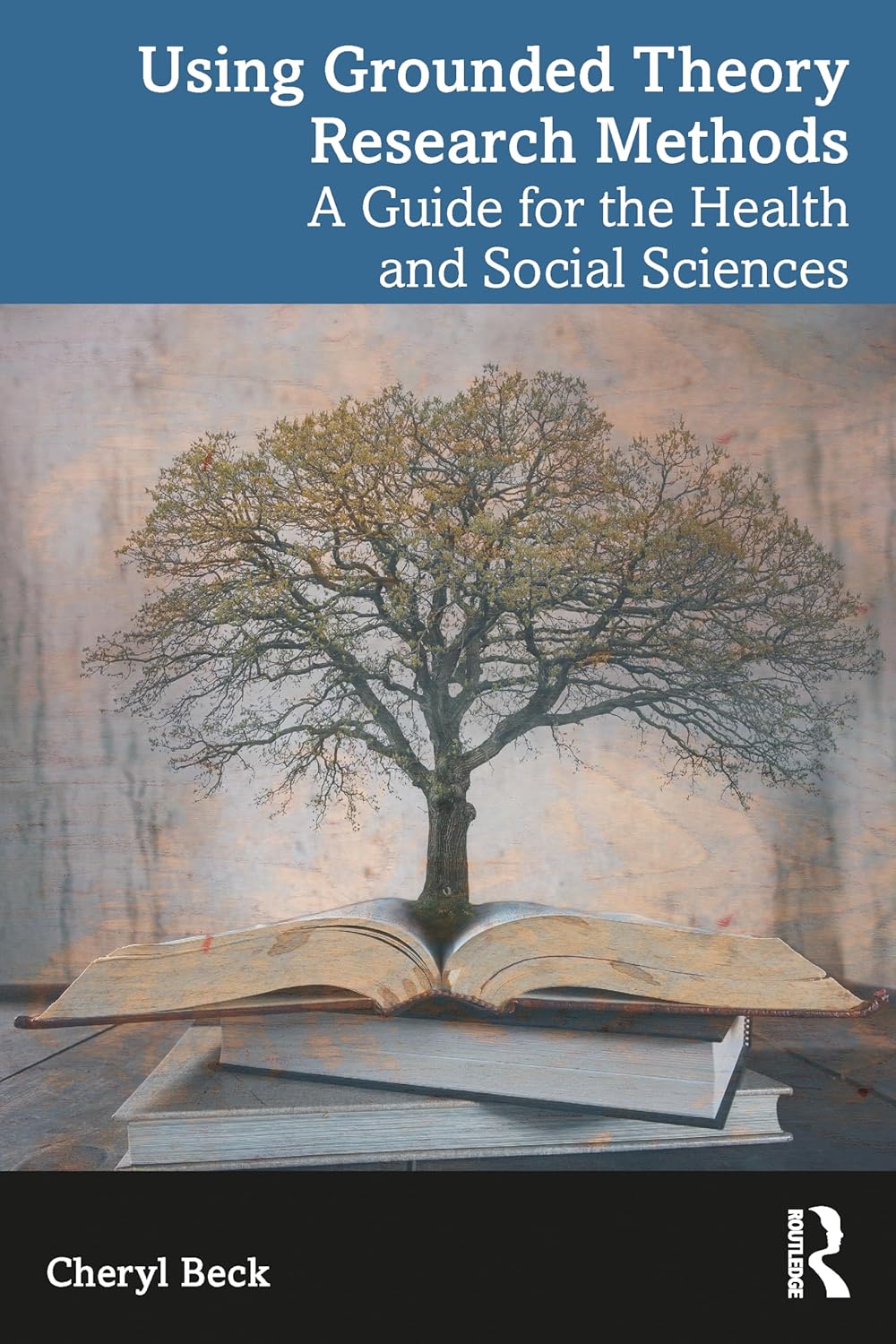 Using Grounded Theory Research Methods (EPUB)