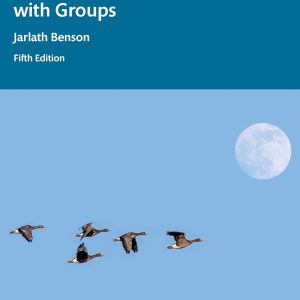 Working More Creatively with Groups, 5th Edition (EPUB)