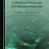 Nanotechnology Applications in Medicinal Plants and their Bionanocomposites: An Ayurvedic Approach (Original PDF from Publisher)