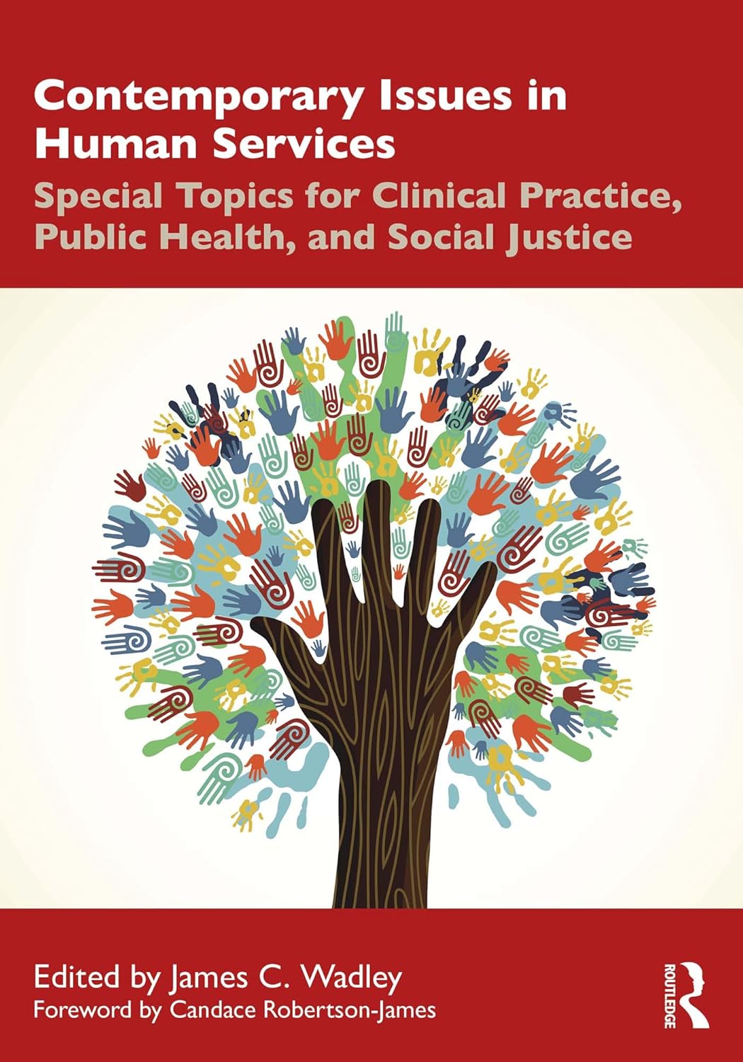 Contemporary Issues in Human Services: Special Topics for Clinical Practice, Public Health, and Social Justice (EPUB)