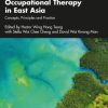 Occupational Therapy in East Asia (EPUB)