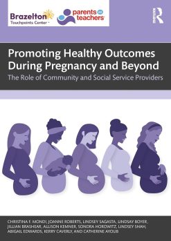 Promoting Healthy Outcomes During Pregnancy and Beyond: The Role of Community and Social Service Providers (EPUB)