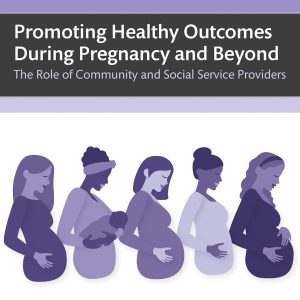 Promoting Healthy Outcomes During Pregnancy and Beyond: The Role of Community and Social Service Providers (Original PDF from Publisher)