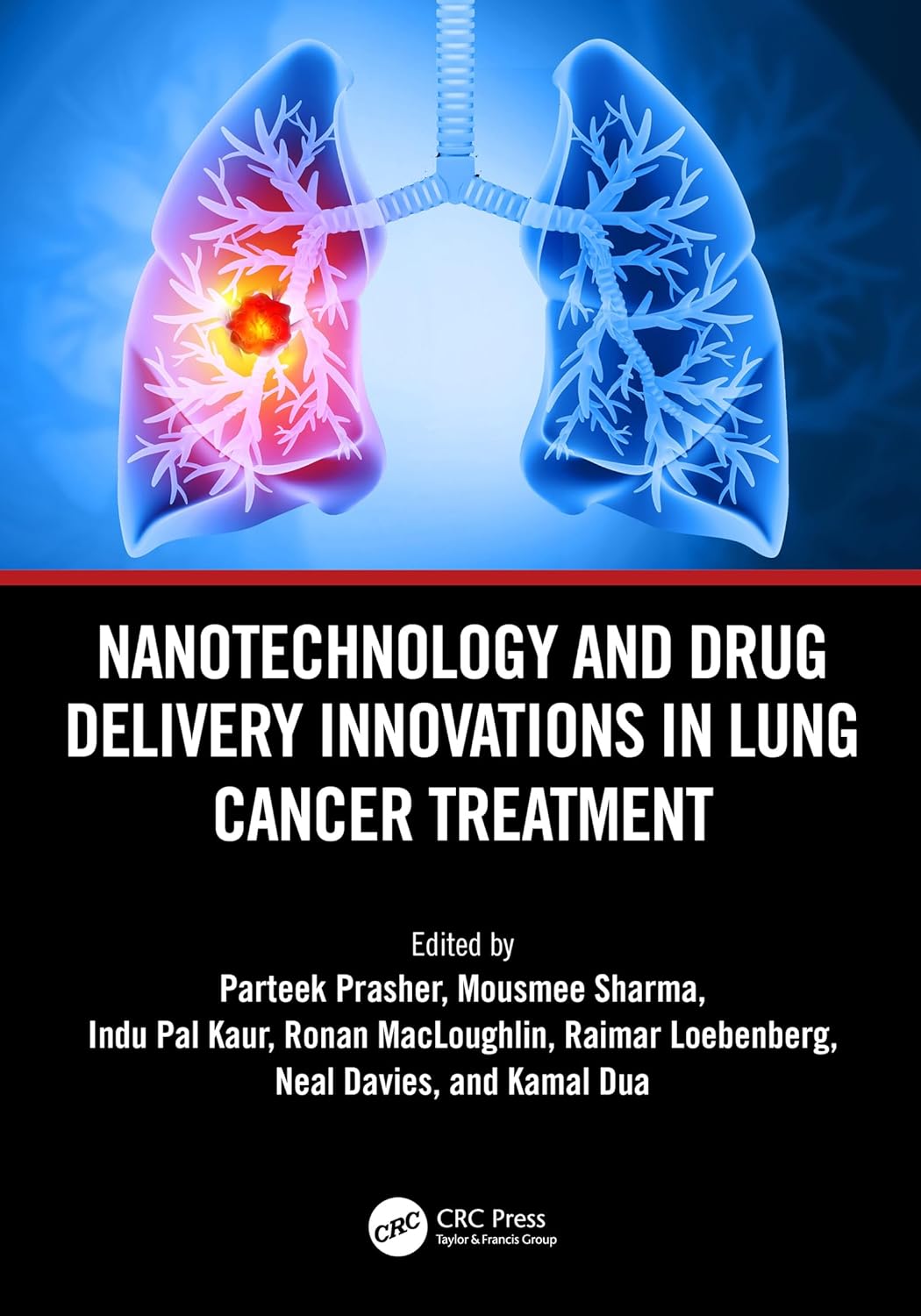 Nanotechnology and Drug Delivery Innovations in Lung Cancer Treatment (EPUB)