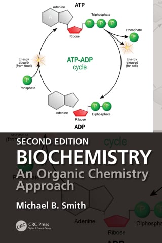 Biochemistry, 2nd Edition (EPUB)