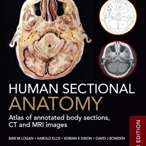 Human Sectional Anatomy: Atlas of annotated body sections, CT and MRI images, 5th Edition (Original PDF from Publisher)